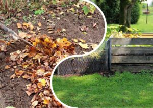 lapų kompostavimas rudenį