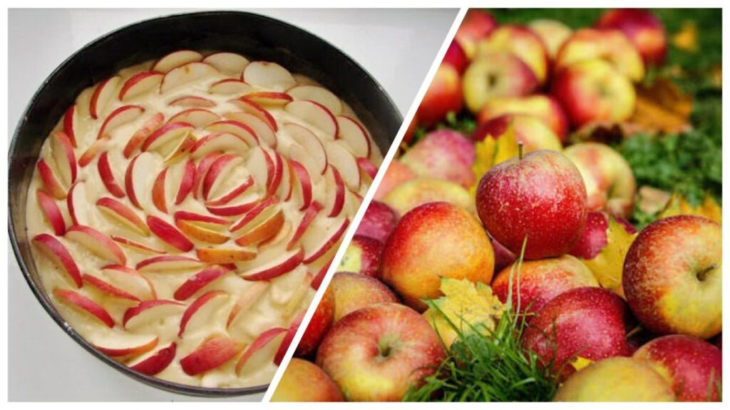 obuolių veislė pyragams